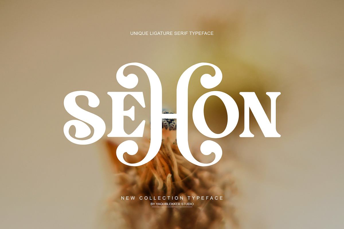 SEHON LIGATURE SERIF TYPEFRACE Free Download Free Download SEHON LIGATURE SERIF TYPEFRACE Free Download Free Download