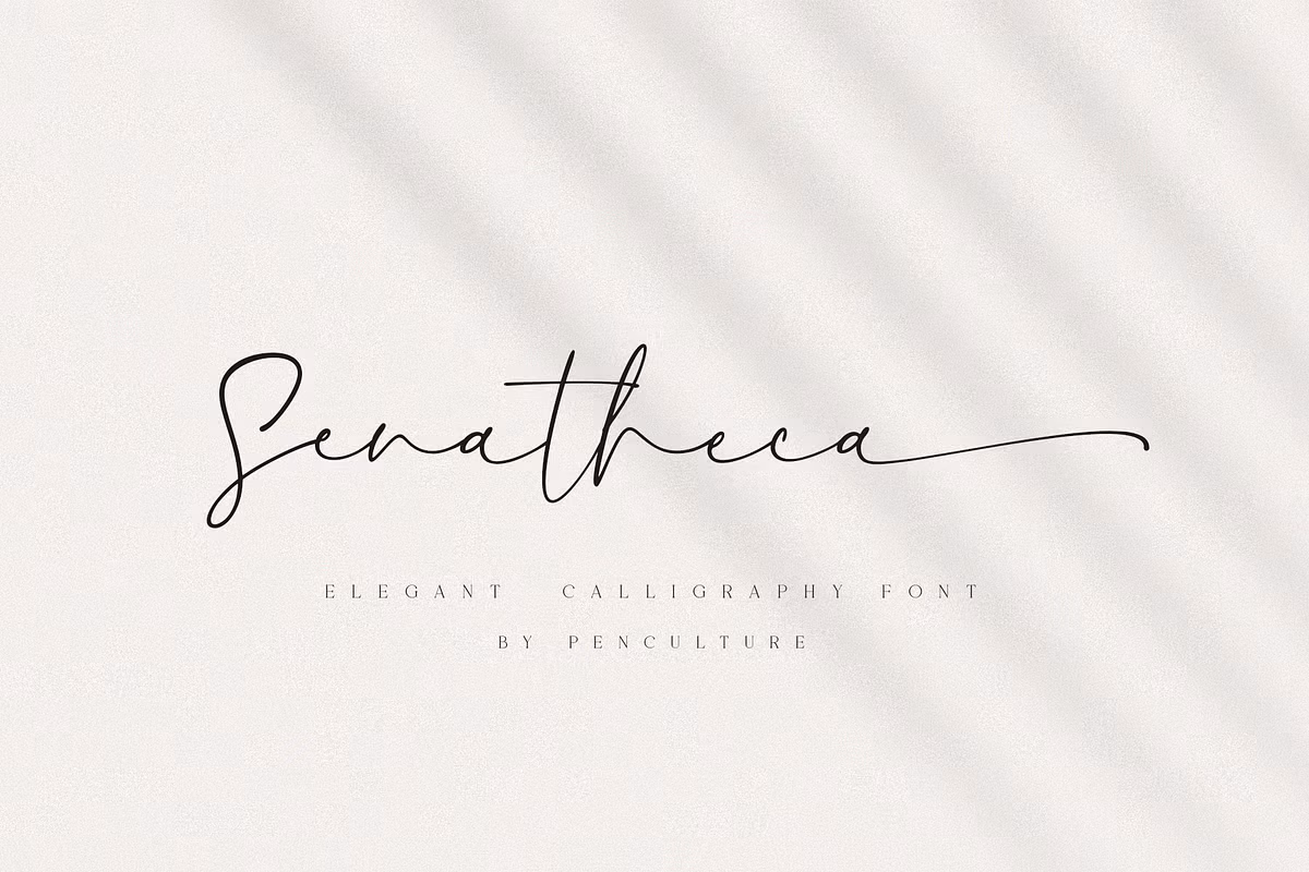 Senatheca Calligraphy Font Free Download Free Download Senatheca Calligraphy Font Free Download Free Download