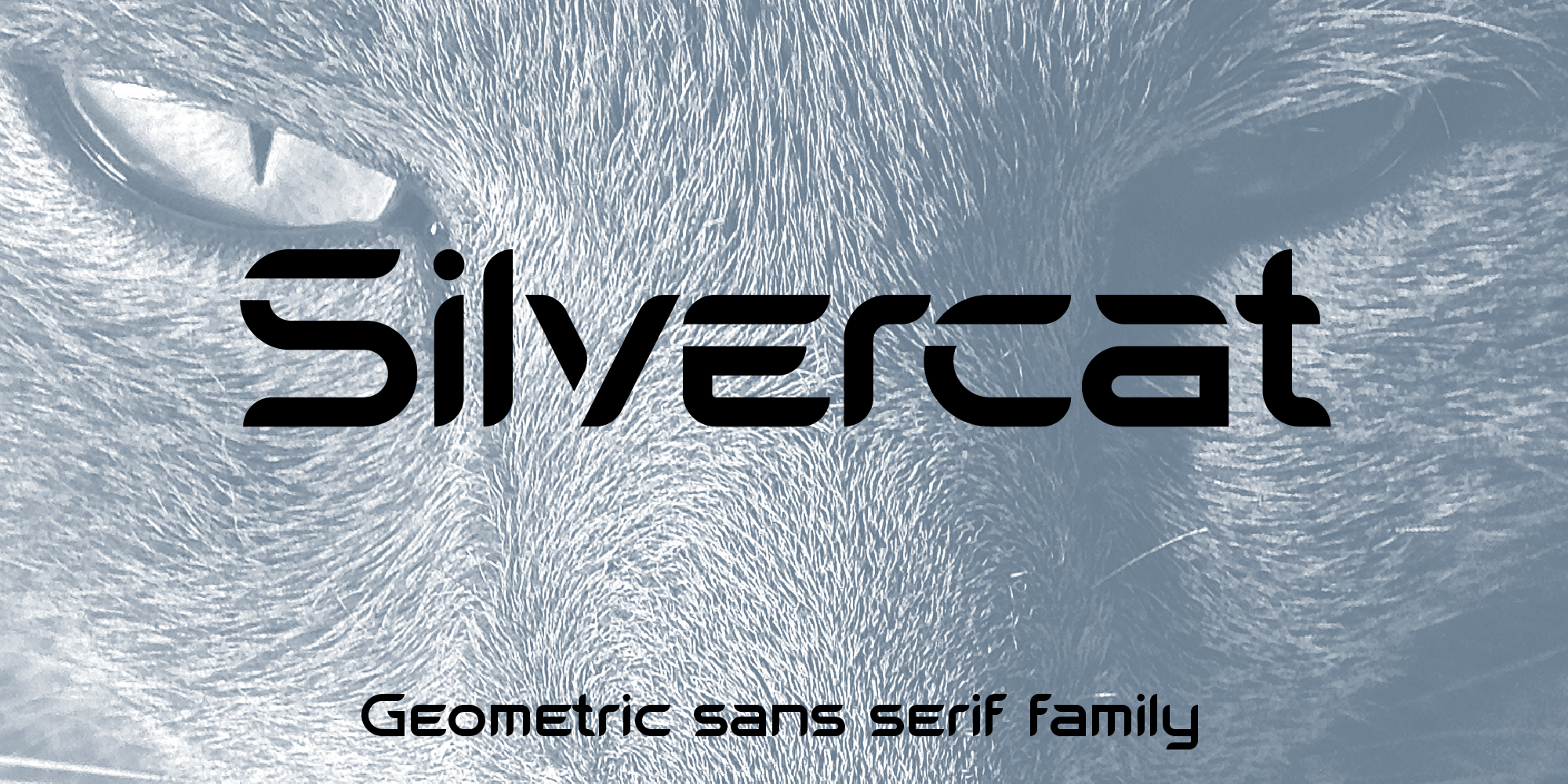 Silvercat Free Download Free Download