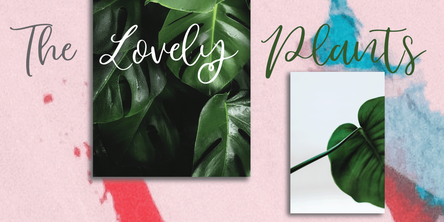 Slowly Font Free Download Slowly Font Free Download