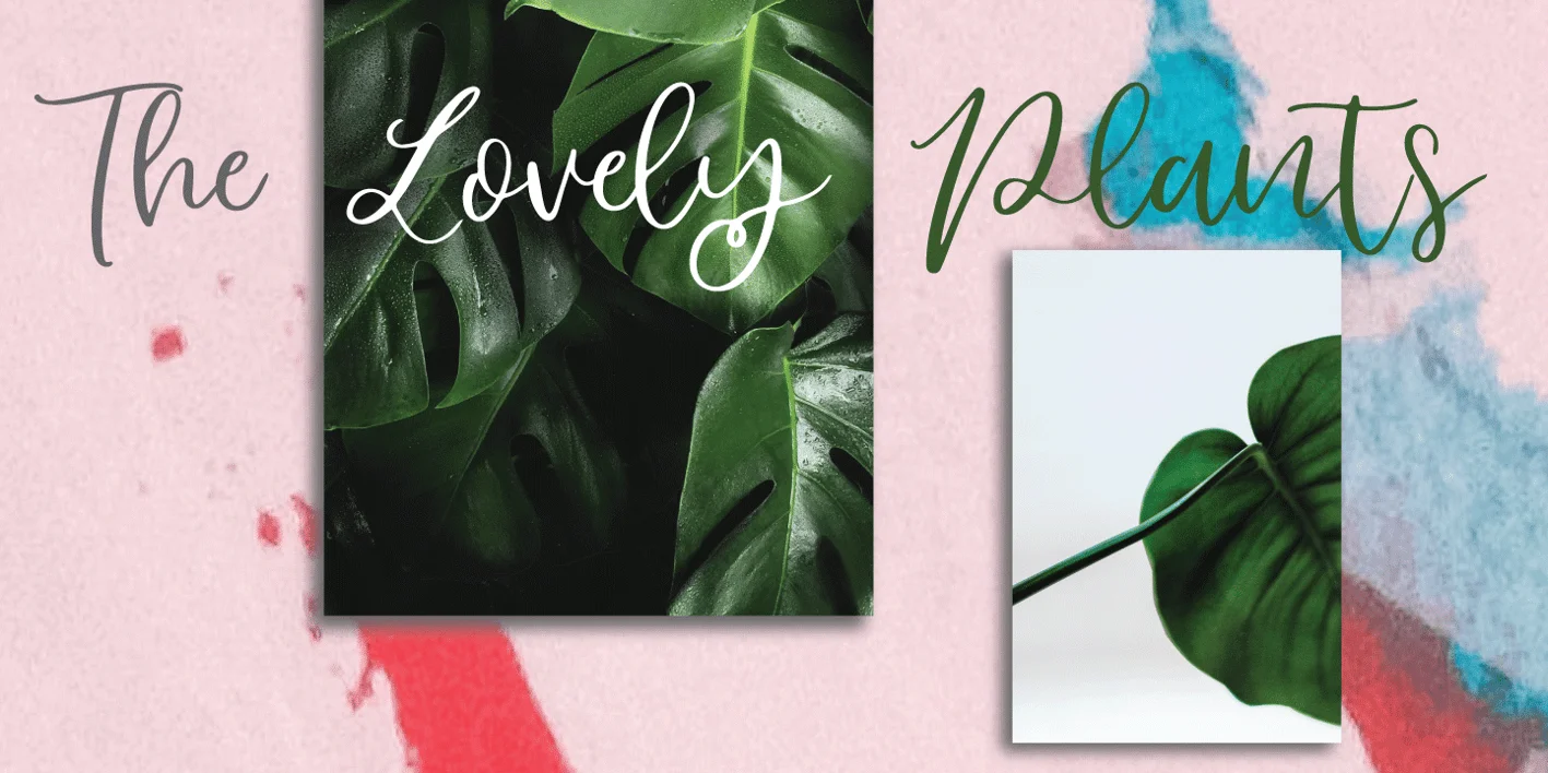 Slowly Font
