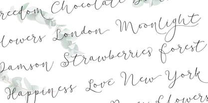 Soft Whisperings Calligraphic Font Free Download Soft Whisperings Calligraphic Font Free Download