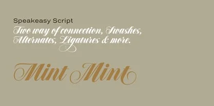 Speakeasy Font