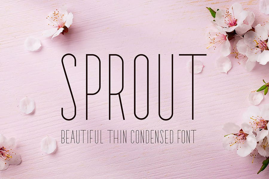 Sprout Font Free Download Sprout Font Free Download