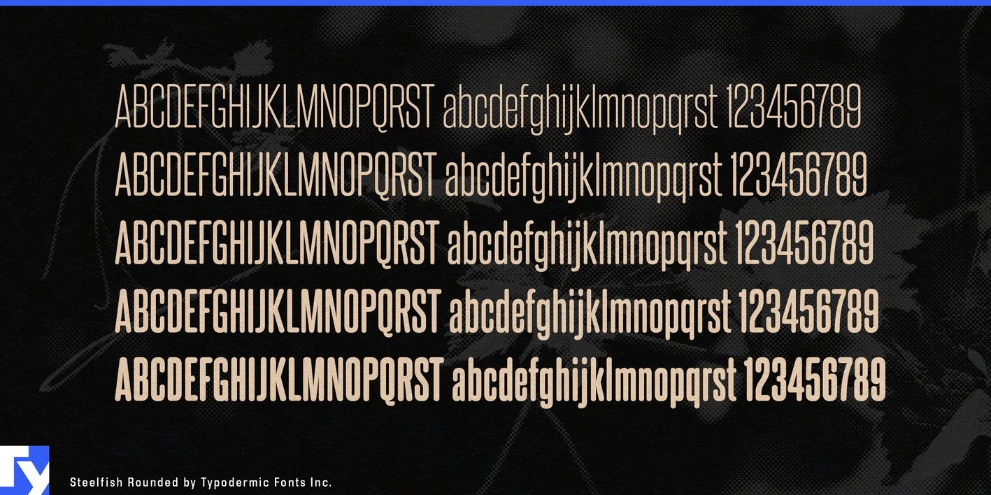Steelfish Rounded Font