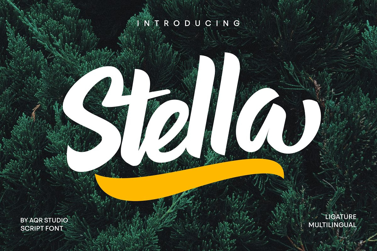 Stella Typeface Free Download Stella Typeface Free Download