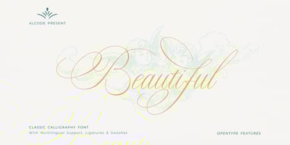 Stipa Willington Font Free Download