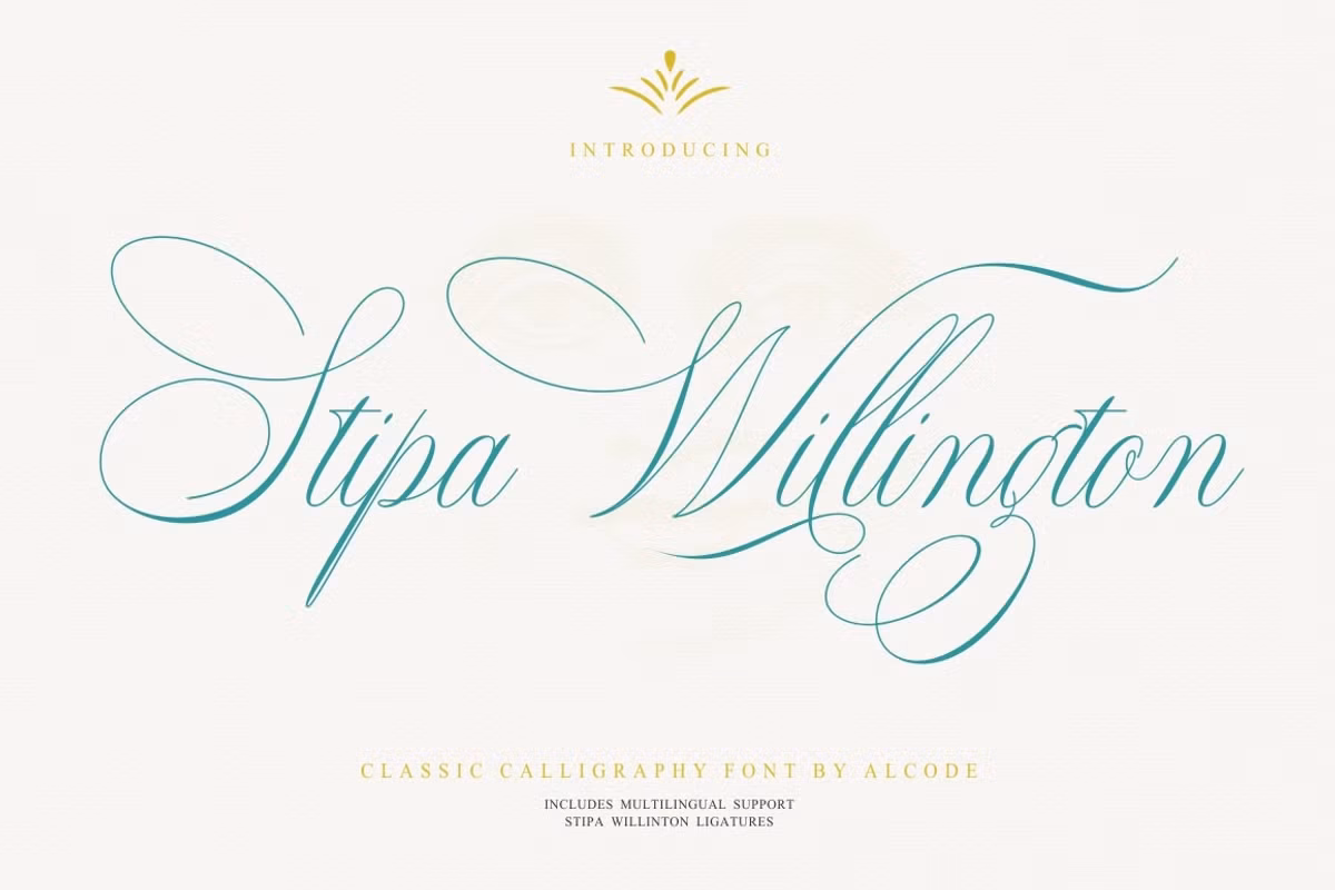 Stipa Willington Free Download Free Download Stipa Willington Free Download Free Download