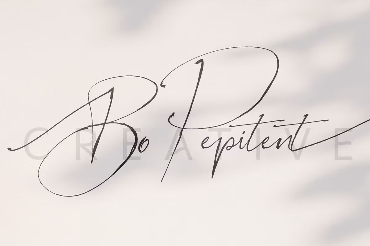 Studio Baked Font Collection Free Download Free Download Studio Baked Font Collection Free Download Free Download