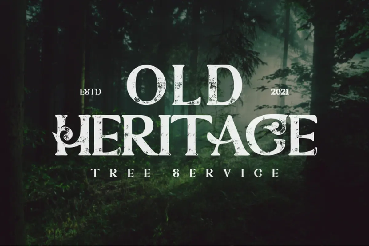 StunningOverturn Modern/Vintage Font Free Download Free Download StunningOverturn Modern/Vintage Font Free Download Free Download