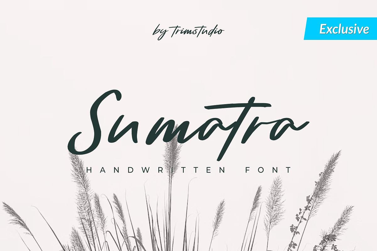 Sumatra - Beauty Handwritten Script Free Download Free Download Sumatra - Beauty Handwritten Script Free Download Free Download
