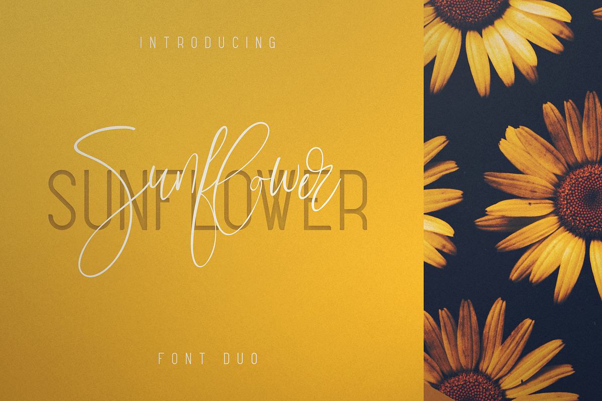Sunflower - Font Duo Free Download Free Download Sunflower - Font Duo Free Download Free Download