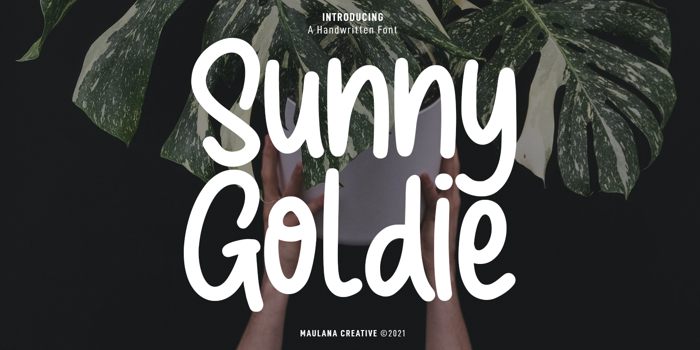Sunny Goldie Free Download Free Download Sunny Goldie Free Download Free Download