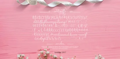 Sweetgentle Font