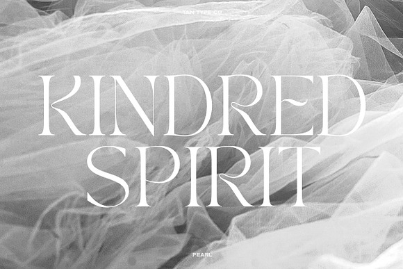 TAN - PEARL Font Free Download TAN - PEARL Font Free Download