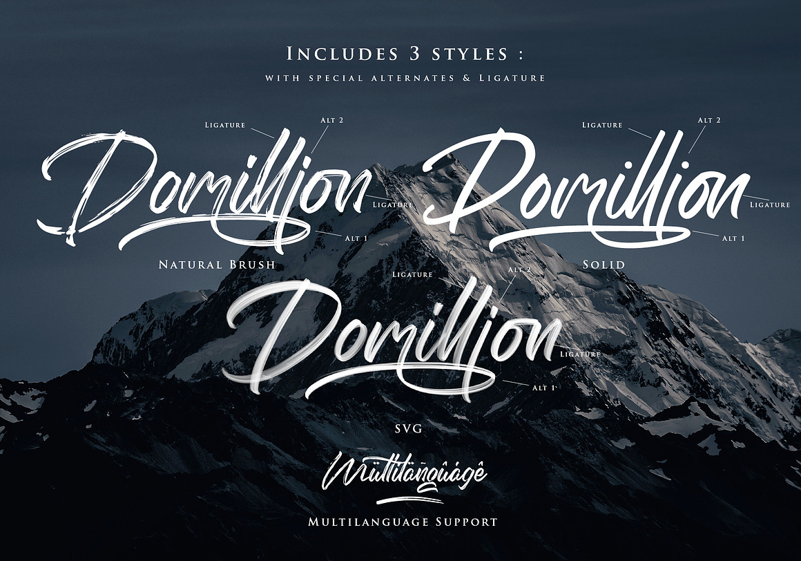 The Domillion Brush Font Free Download The Domillion Brush Font Free Download