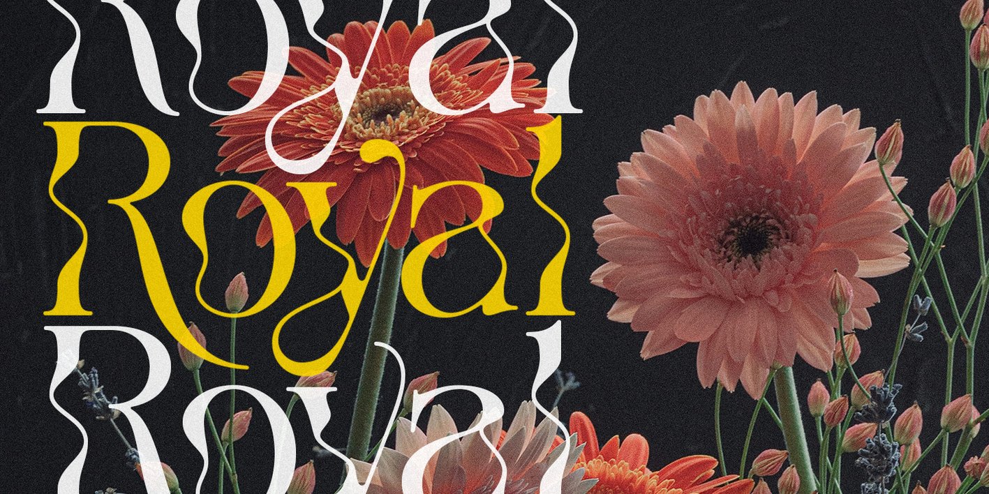 The Seiran Lapansa Font Free Download The Seiran Lapansa Font Free Download