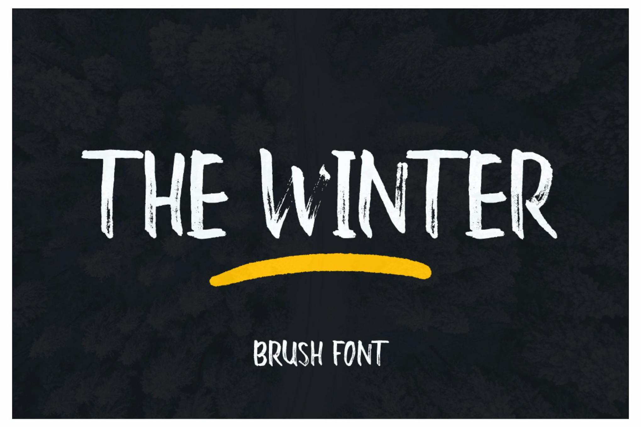 The Winter Brush Font Free Download The Winter Brush Font Free Download
