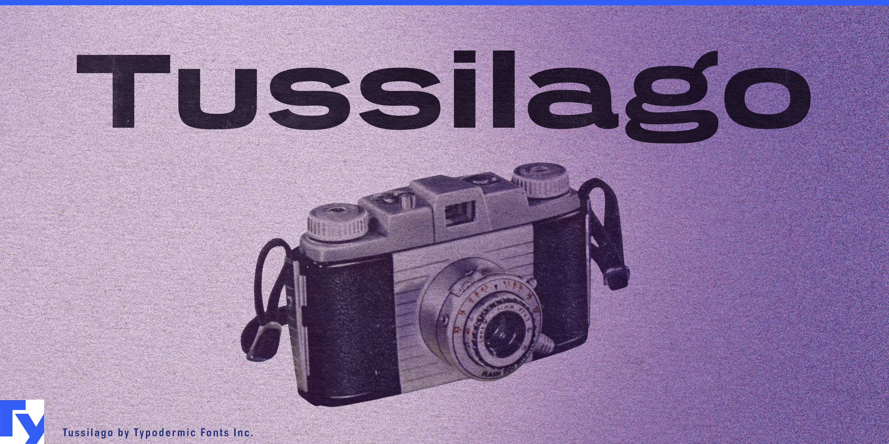 Tussilago Free Download Free Download Tussilago Free Download Free Download