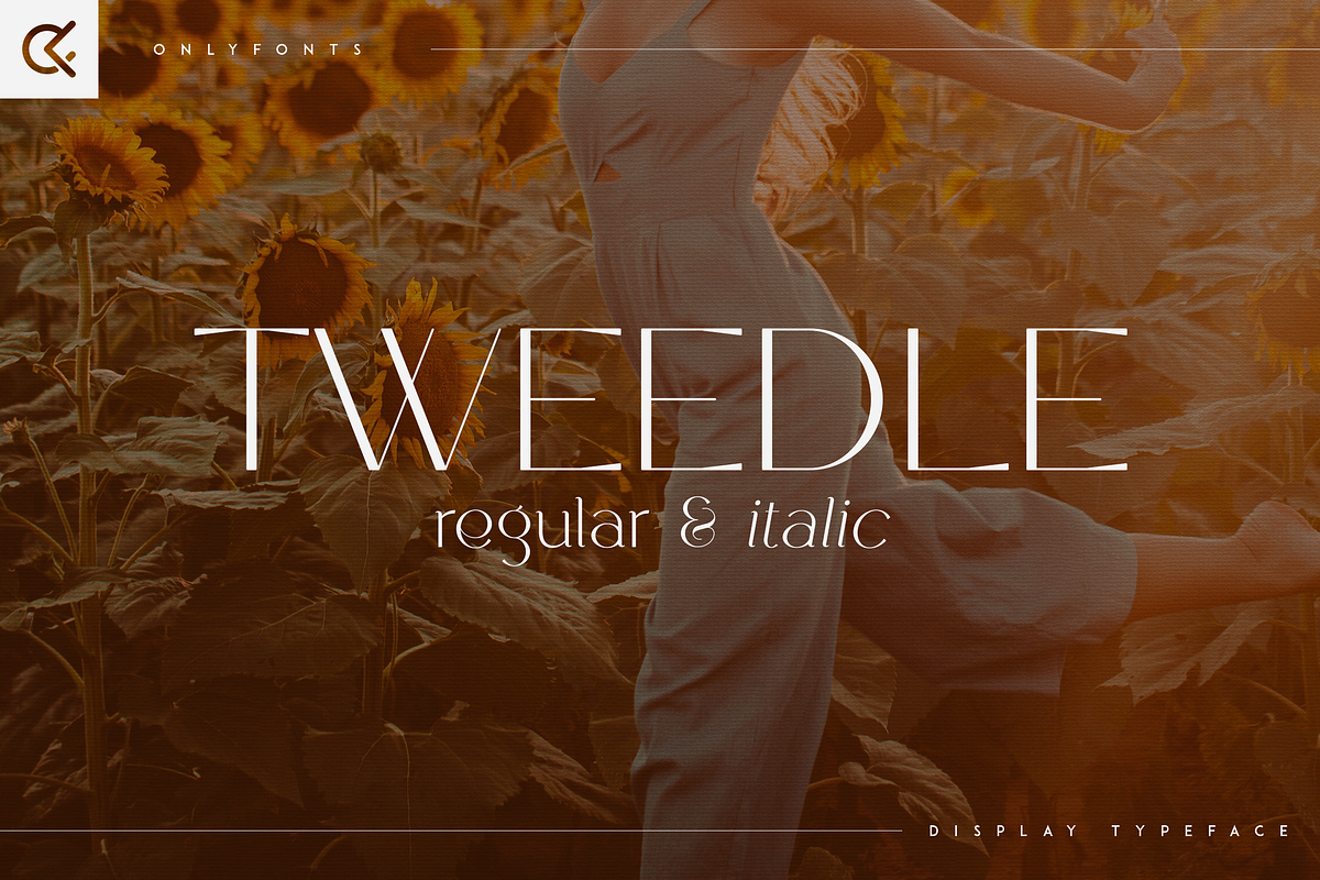 Tweedle - Display Typeface Free Download Free Download Tweedle - Display Typeface Free Download Free Download