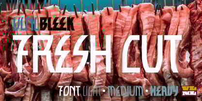 VLNL Bleek Font Free Download