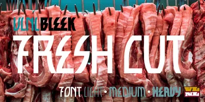 VLNL Bleek Font