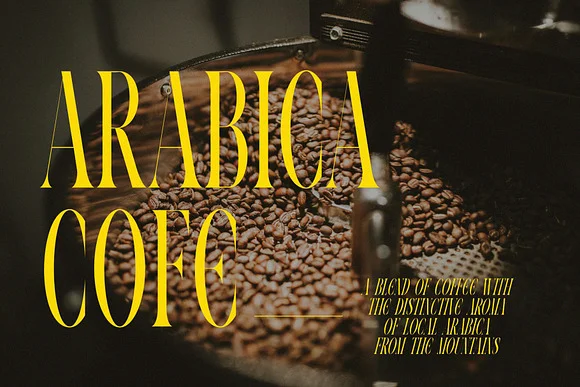 VOLTUNE Elegant Condensed Serif Font