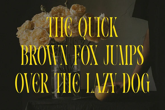 VOLTUNE Elegant Condensed Serif Font