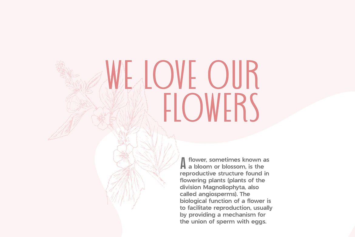 Wedding Font Pairing Free Download