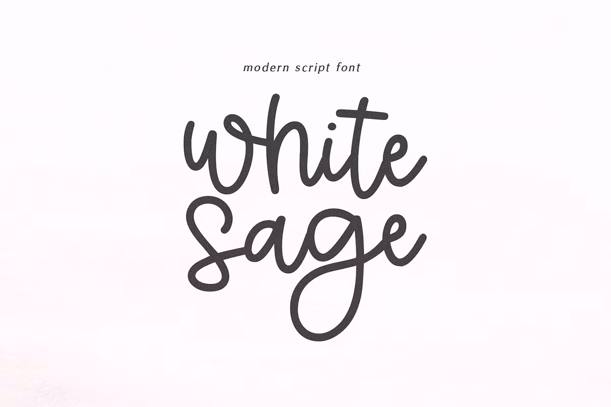 White Sage | Modern Script Font Free Download Free Download