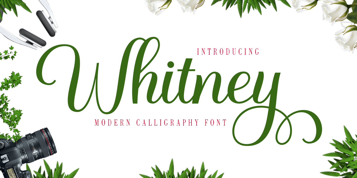 Whitney Free Download Free Download Whitney Free Download Free Download