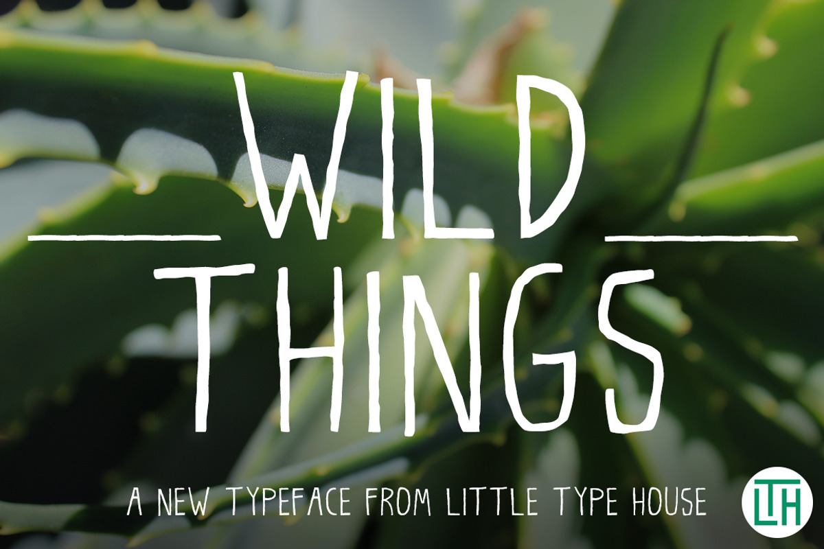 Wild Things Free Download Free Download Wild Things Free Download Free Download