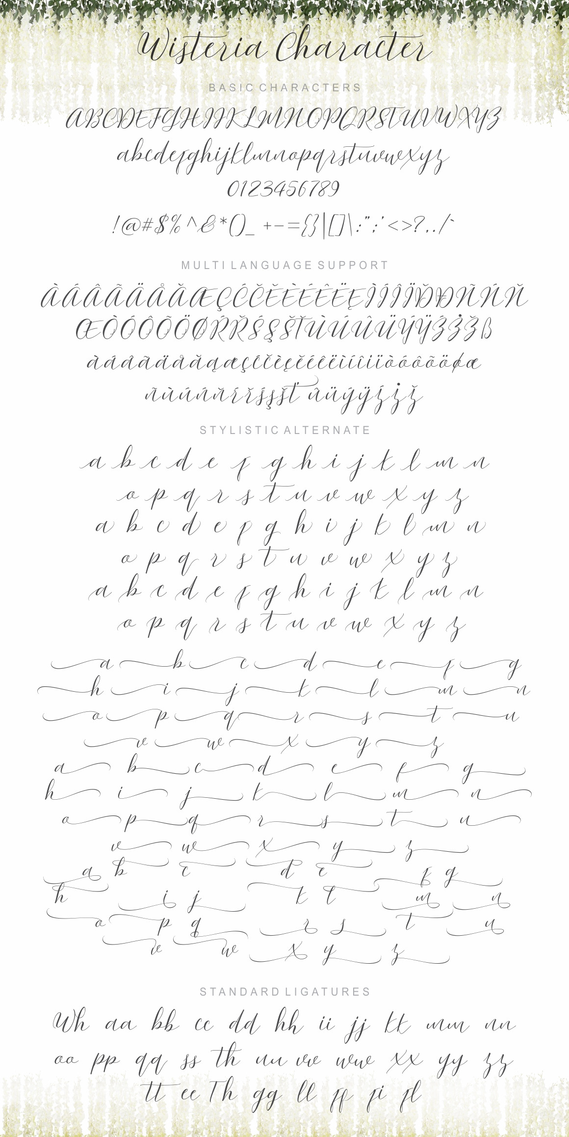 Wisteria Script Font Free Download Wisteria Script Font Free Download