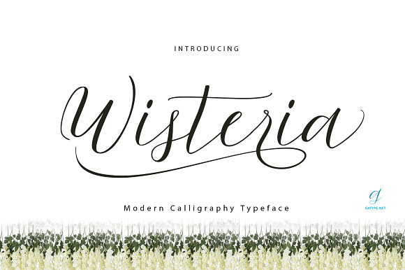Wisteria Script Font Free Download Wisteria Script Font Free Download