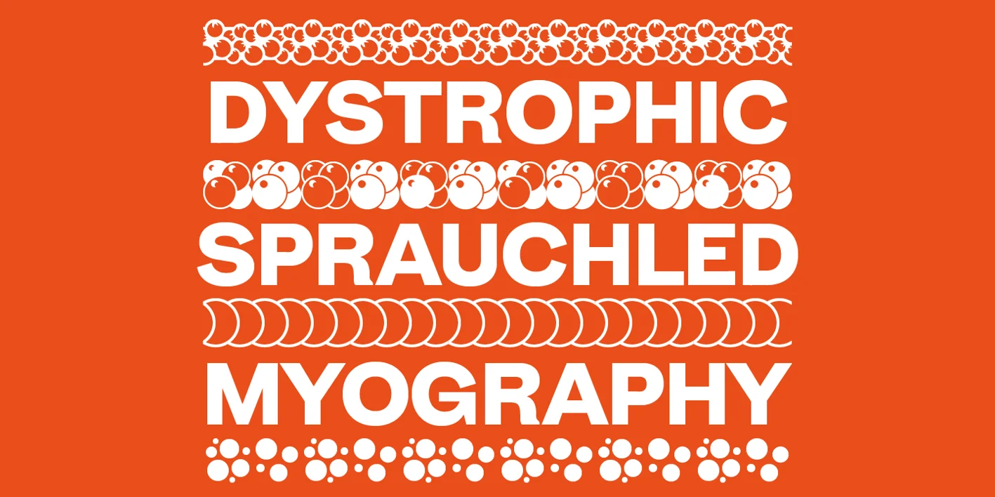 Zierde Grotesk Font