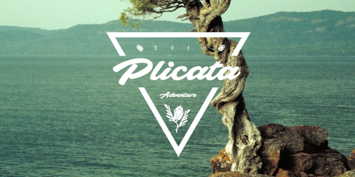 plicata1