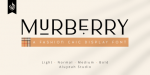 Al Murberry Font Free Download