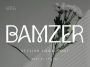 Bamzer Stylish Logo Font Free Download