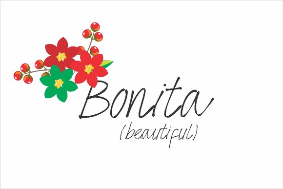 Bonita Font – Free Font Download