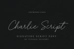 Charlie Script font