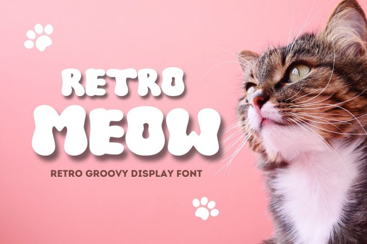 Retro Meow font