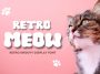Retro Meow font