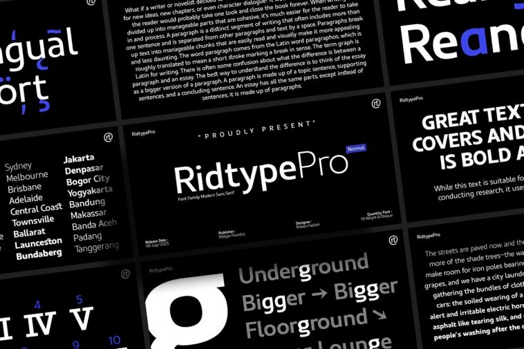 Ridtype Pro font