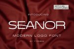 Seanor - Modern Logo Font Free Download