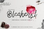 Bleakerst Font Free Download