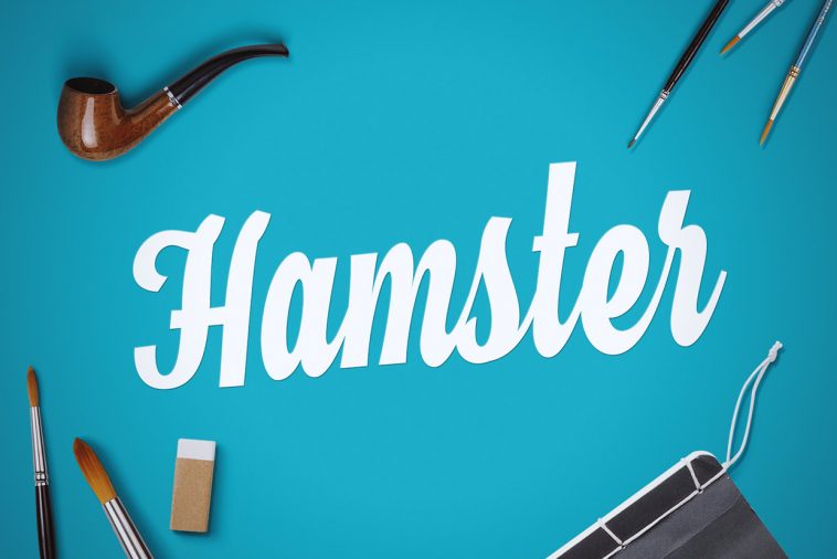 Hamster Font Free Download